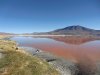 Salar de Uyuni, Laguna Colorada